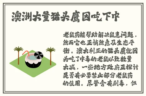 91精品国产高清久久久久久91